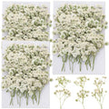 90Pcs Mini Dried Pressed Baby's Breath Flowers Bulk - Natural Flat Real White Gypsophila Baby Breath, Pressed Flowers for Resin, Frame Art, Scrapbooking, Wedding Invitation