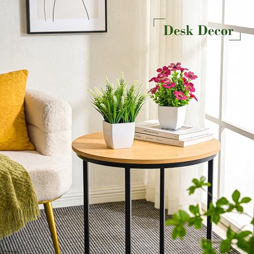 Der Rose Fake Plants 4 Pack Small Artificial Flowers in White Pots for Desk Bathroom Shelf Bedroom Office Tabletop Spring Home Decor - color: Colorful
