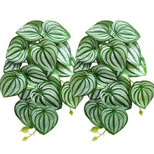Woyrise 2 Pack Reptile Plants, Terrarium Hanging Plant Vines, Artificial Leaves with Suction Cup, Bearded Dragon Tank Accessories for Gecko Lizard Snake Frog Tortoise Decorations - Calathea Orbifolia - color: Calathea Orbifolia