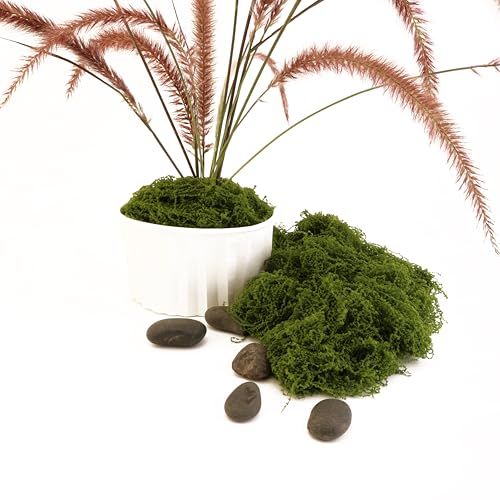Dark Green Simulated Moss, Artificial bryophytes, Suitable for Moss Decoration, Green Craft, DIY Gardening Art, Garden Christmas and Easter Decoration(2.1OZ) - color: Dark Green