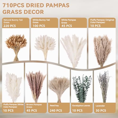 710Pcs Natural Dried Pampas Grass Decor, 9 Types Dried Flowers for Vase, Boho Pampas Bouquet for Wedding, Party, Centerpiece Table, Modern Home, Western Living Room, Nursery, Farmhouse Decor 17''