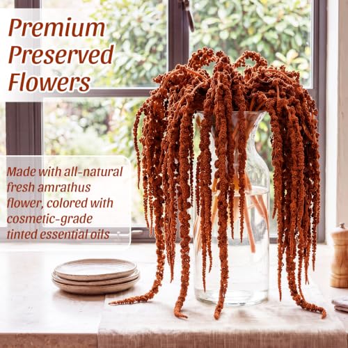 Suncalla 12 Pcs Brown Spring Natural Dried Amaranthus Hanging Flowers Amaranthus Artificial Flowers for Wedding Arch Bouquet Floral Garland Wall Home Decoration (23 Inch) - color: Brown