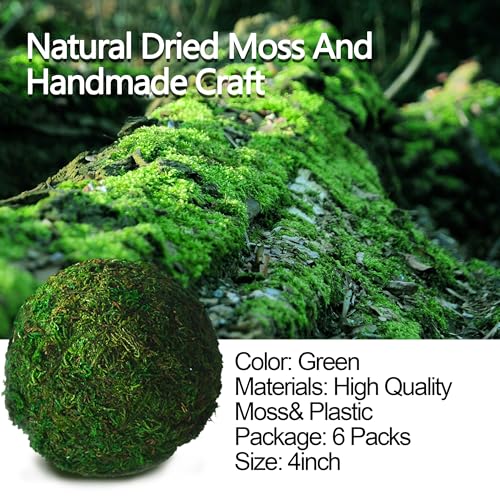 Qingbei Rina Large Green Moss Balls Decorative(4"-Set of 6), 4 Inch Decorative Moss Ball for Bowls, Vase Filler Bowl Fillers for Centerpiece, Handmade Natural Moss Balls,Wedding Party Home Decor