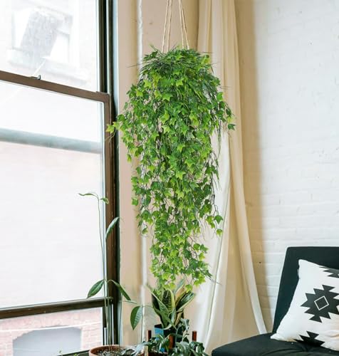 RECUTMS Artificial Plant Faux Plant Ivy Greenery Fake Hanging Plants Faux Greenery Plant Fake Ivy Leaf UV Resistant for Indoor Home Decor Outdoor Garden Yard Porch Wall Decoration 3 Packs（Green） - color: Green, size: Hanging Ivy