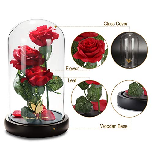 Beauty and The Beast Rose, Classic Red Rose with LED Lights and Falling Petals, Gifts for Women, Birthday Gifts for Women, Light Up Rose in Glass Dome, Valentine's Day Gifts for her - color: Classic Red