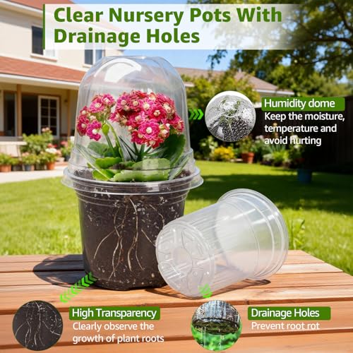 MIXC Clear Nursery Pots with Humidity Domes, 5/4/3.5 Inch Reinforced Transparent Plastic Pots for Planting with Drainage Holes for Seedlings, 30 Pack - color: Transparent, size: 3.5/4/5 Inch-with Lid