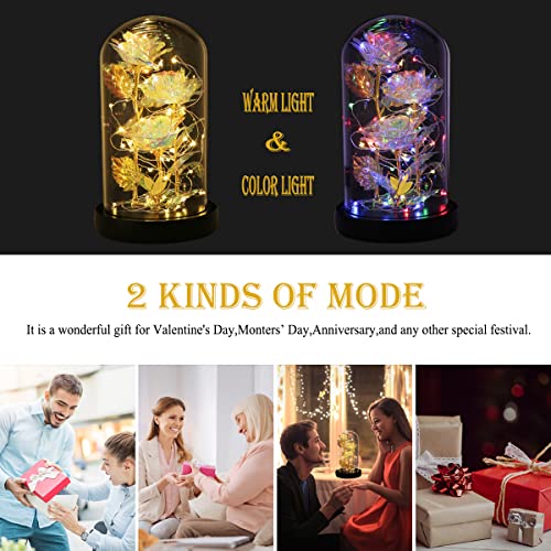 Mothers Day Forever Gifts for Mom, Colorful Flowers Rose in Glass Dome,Galaxy Flowers Rose with 2 Lighted Mode,Rainbow Rose Birthday Gifts for Women,Wife Girlfriend Daughter，Anniversary,Valentines - color: Colorful Rose