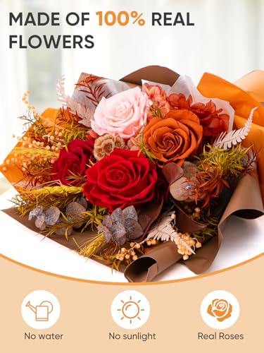 Bessol Flowers for Delivery Preserved Flower Bouquet Forever Fresh Flowers Birthday Gifts for Women Mom Anniversary Red Real Rose Gifts for Grandma Wife Girlfriend Sister Her from Daughter - color: Fall Preserved Flower Bouquet, size: Small