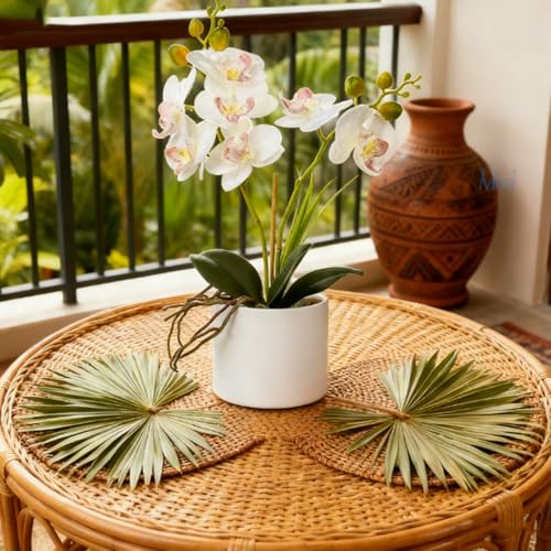 Jusdreen Artificial White Orchid in Ceramic Pot, Realistic Phalaenopsis Arrangement with Potting for Home Office Table Decor, 14.5 Inch Flower Centerpiece - color: Z/Ceramic-white