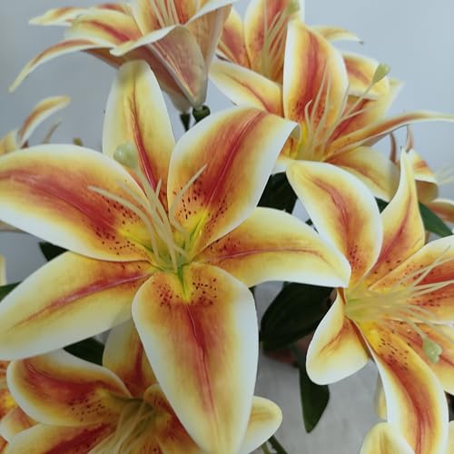Artificial Orange Lilies Flowers,10Pcs Faux Lily Flower,20''Tiger Lily Branch with 2 Full Blooms, Faux Fake Lilies Plants for Wedding Bouquet Home Party Indoor Floral Arrangements (10, Orange) - color: Orange