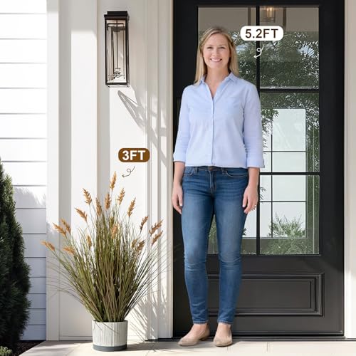 Faux Plastic plantas Synthetic Pampas Grass Indoor Outdoor Realistic Floor Plants pet Friendly Fake Grass for Home Office Wedding para Patio Front Artificial Grass Decor Housewarming Gift - color: 19 Heads, size: 3FT