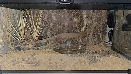 Fake Desert Dry Grass, Reptile Plants for Terrarium, Bearded Dragon Tank Accessories Habitat Decor fit Crested Gecko Leopard Lizard Chameleon Ball Python Snake - color: F-fake Desert Dry Grass