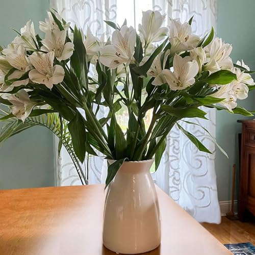 White Ceramic Vase Modern Minimalist Table Centerpiece, Round Smooth Flower Holder for Living Room, Shelf, Mantel, Wedding & Home Decor-7" H - color: White-7inch