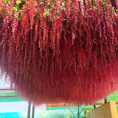 WEISPARK Fake Hanging Flowers - 12 Pieces 3.75 Feet/Piece Artificial Wisteria Vine Ratta Hanging Garland Silk Flowers for Home Party Wedding Decor (Red) - color: Red