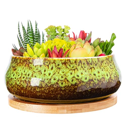 ARTKETTY Succulent Pots - 8 Inch Plant Pot, Large Bonsai Pots with Drainage Tray, Ceramic Planters for Indoor Outdoor Plants, Round Shallow Cactus Flower Plant Container Bowl Decorative Home Garden - color: Green