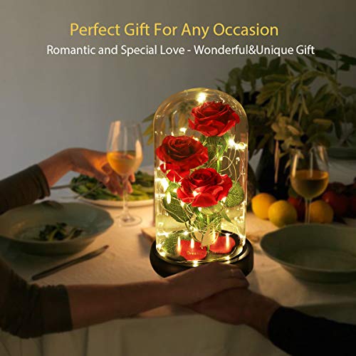 Dream of Flowers Gifts for Mom Mothers Day Birthday Gifts for Women,Beauty and The Beast Rose in Glass Dome,Anniversary Rose Gifts for Wife,Romantic Red Silk Rose Flower Gifts for Women - color: Classic Red
