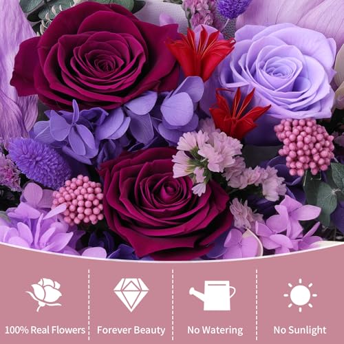 Lewondr Flower for Delivery, Preserved Flowers Bouquet, Purple Roses Bouquet, Real Long-Lasting Forever Birthday Flowers Gifts for Mom Grandma Women Mothers Day Anniversary Christmas, Purple - color: Dark Purple
