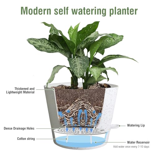 Meowell 12 inch Large Self Watering Pots, Plant Pots with Mesh Drainage Holes for Indoor Outdoor Plants, Plastic Planters with Deep Reservoir for Garden House Flower Plants, Speckled White - color: Speckled White, size: 12inch A