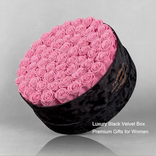 Gifts for Women – NATROSES 60 Preserved Roses in Luxury Black Velvet Box, Preserved Flowers for Delivery Gift for Her, Elegant Rose for Birthday, Mother’s Day, Christmas (Pink) - color: Pink, size: 60 Roses