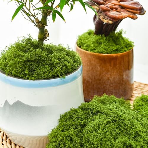 KEYUSHOP 7 oz Fake Green Moss Decorative Artificial Moss for Crafts Decorative Artificial Moss Preserved Reindeer Moss for DIY Decorative Moss Table Centerpieces Decor Wall Art - color: Light Green 3.5oz+dark Green 3.5oz