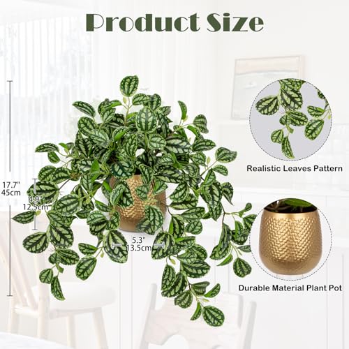 Briful Faux Plants Indoor 17.7in Fake Watermelon Peperomia Plant in Gold Pot with Realistic Silk Green Leaves Artificial Potted Plant for Home Office Table Shelf Desk Modern Room Decor - color: Dark Green-gold Pot