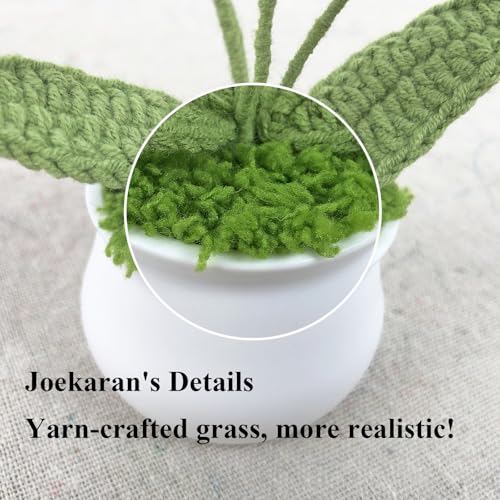 Joekaran Crochet Flowers Cute Flower for Her, Graduation Birthday Gifts for Women and Teacher, Mother, Coworkers, Valentines, Christmas, Desk Decor,Home Office Decoration(Pink Gradient Myosotis) - color: Pink Gradient Myosotis