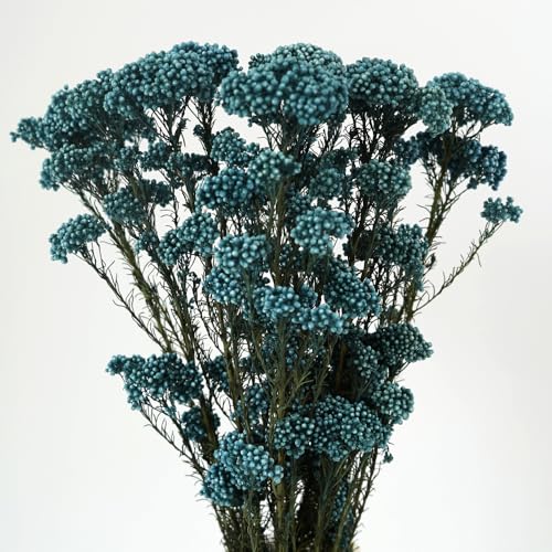 Natural Preserved Millet Flowers Dried Bouquet Flowers and Plants Arrangements for Home and Wedding Decoration (Ocean Blue) - color: Ocean Blue