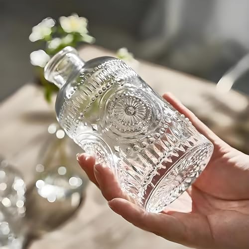 TIWPAJS Propagation Vases for Plants, Bud Vases, Small Glass Vase for Flowers, Home Decor, Table Decor, Shelf Decor, Desk Decor, Office Decor