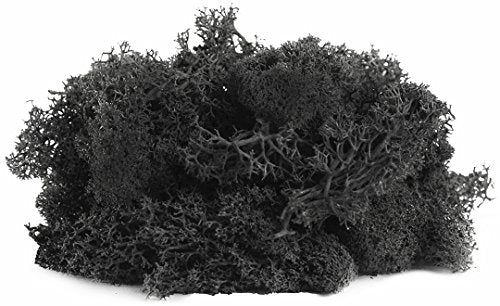 SuperMoss (21790) Reindeer Moss – Soft Preserved Moss for Home Decor, Crafts, Terrariums, Floral Design, and Wedding Decorations, 2,588 cu in, Black - color: Black, size: Appx. 10 lb Bulk Case