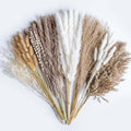 Natural Pampas Grass 8kind Grass Mix Bouquet | Dried Pampas Bouquet for Wedding Boho Flowers Home Table Desk Decor, Rustic Farmhouse Decor (93PCS) - size: 93PCS