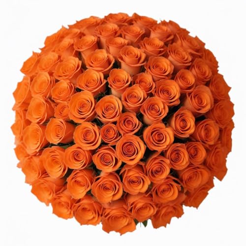100 Orange Roses | Bulk Roses by Arabella Bouquets | Real Fresh Flowers for Delivery, Gift for Birthday Women, Congratulations, Anniversary, Thank You, Mothers Day - color: Orange, size: 100 Stems