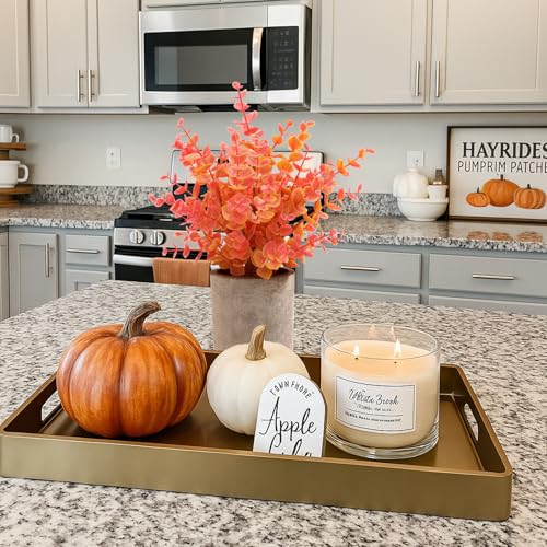 Coferset 2 Pack Fall Small Fake Plants Eucalyptus Potted Artificial Plants Fall Decorations for Home Shelf Office Bathroom Desk Farmhouse Room Coffee Table Decor Fall Decor (Fall Orange) - color: Orange-small