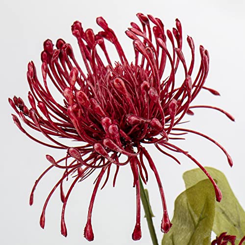 Hollyone 33" Red Artificial Mums Flowers Faux Chrysanthemum Flowers 2Pcs Spider Mum Flower Arrangement Spring Summer Pincushion Flower with 3 Heads Long Stem for Centerpiece Bouquet Home Decor - color: Wine Red