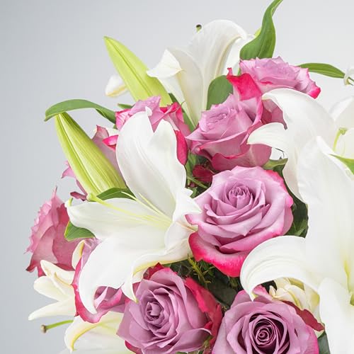 Benchmark Bouquets Oriental Lily & Purple Rose Bouquet – Real Fresh Flowers for Delivery – Mothers Day Gifts for Mom – Long Stem Roses with Fragrant Lilies – Purple Flowers – Glass Vase Included - color: Purple