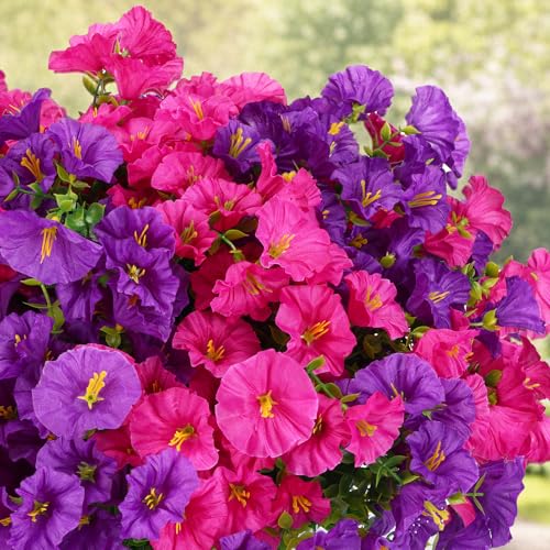 CEWOR Artificial Flowers for Outdoor Indoor, Fake Silk Morning Glory with Eucalyptus Leaves, Faux Flower for Garden Front Door Porch Planter Patio Home Decor (24 Bundles, Purple Fuchsia) - color: Purple Morning Glory