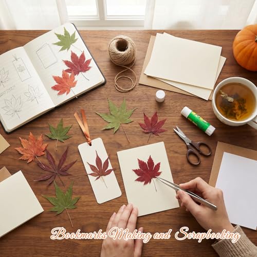 48 Pcs Dried Pressed Fall Maple Leaf for Cake Decorating, Seasonal Decor, Natural Dried Leaves Herbs kit for Resin Jewelry Making Soap and Candle Making (Maple Leaf) - color: Maple Leaf