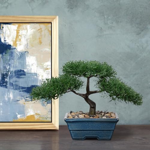 Artificial Bonsai Tree Juniper Faux Plants Indoor Fake Plants Decor with Blue Ceramic Pots for Home Table Office Desk Bathroom Shelf Bedroom Living Room Farmhouse Decorations-Pine - style: 6" Blue Glazed