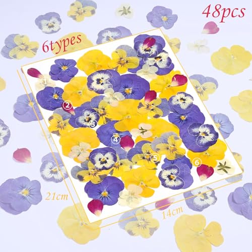 48 Pcs Mix Natural Dried Flowers for Cake Decorating, Real Dry Flower for Resin Jewelry Making, DIY Art Crafts (Pansy) - color: Pansy