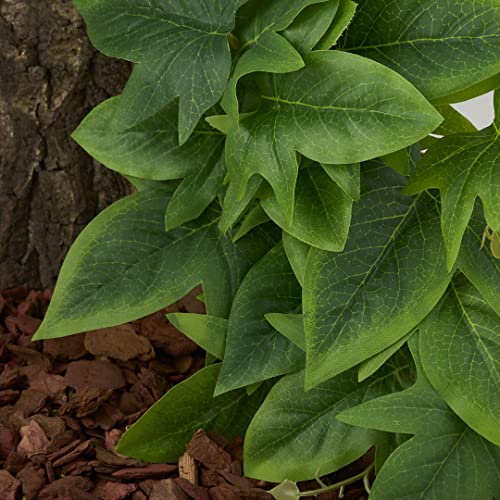 Reptile Plants for Terrarium, Amphibian Habitat Decor Artificial Hanging Plants with Suction Cup - Fake Sweet Potato Vine - color: Fake Sweet Potato Vine
