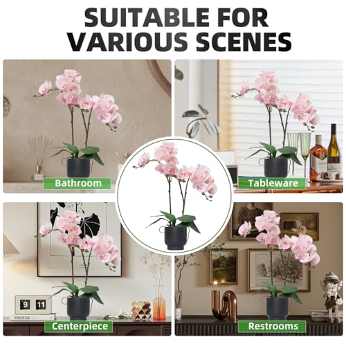 CXGS Orchids Artificial Flowers Real Touch Fake Flowers in Ceramic Pot 20" Pink Faux Orchid Plant Lifelike Silk Phalaenopsis for Centerpiece Hotel Home Indoor Decor - color: Pink- Black Vase