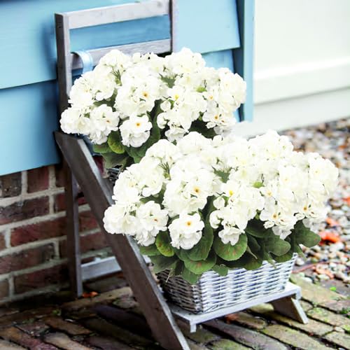 CITYES 8 Pcs Artificial Geraniums Flowers White Silk Geraniums for Outdoors UV Resistant Artificial Geranium Bush Faux Flowers Plant for Garden Home Decor Indoor Patio Vase Table Centerpiece - color: White