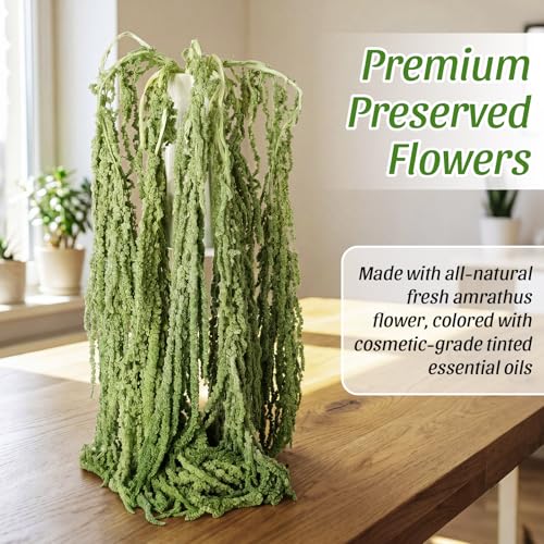 Suncalla 12 Pcs Bright Green Spring Natural Dried Amaranthus Hanging Flowers Amaranthus Artificial Flowers for Wedding Arch Bouquet Floral Garland Wall Home Decoration (23 Inch) - color: Bright Green