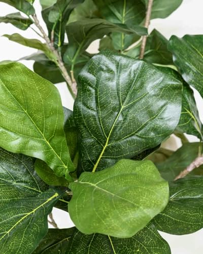5.5FT Artificial Fiddle Leaf Fig Tree Faux Indoor | Large Tall Fake Trees with White Planter, Ficus Lyrata Floor Plants for Home Decor Office Living Room Housewarming - color: 5.5ft Green
