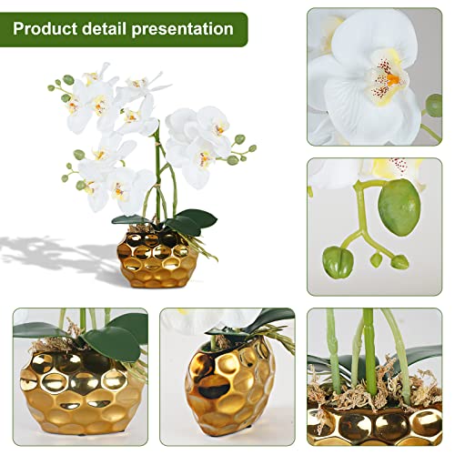Ziwon Artificial Orchid Flowers & Plants Potted in Ceramic Pot, White Faux Phalaenopsis Orchids for Table Centerpiece, Realistic Fake Flower Arrangement for Home Office Decor Indoor - color: White & Gold 01
