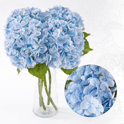 4 Pcs Blue Hydrangea Artificial Flowers 21" Real Touch Hydrangea Fake Flowers in Vase Latex Faux Hydrangea Flowers for Home Floral Arrangements Wedding Bouquets Kitchen Table Centerpiece Decoration - color: 4 Blue, size: 4pcs