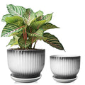 6.7 + 5.5 Inch Ceramic Plant Pots,Set of 2,Planters with Drainage and Saucer,Indoor Pots for Plants,Modern Flower Pots for Home and Office（Black + White） - color: Black + White