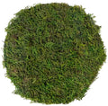 SuperMoss (26280) Mossy Placemat, Fairy Garden Table Wedding Decor Preserved Forest Moss, 12 in Round