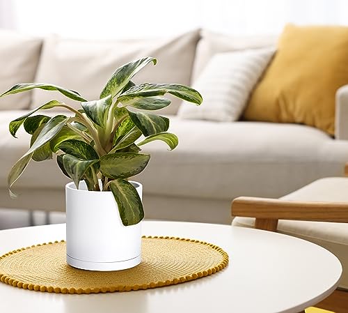D'vine Dev 2 Pack 6 Inch Modern Plastic Plant Pots, Small Garden Planters for Plant with Drainage Holes and Saucers, White Color, 74-Z-J-1 - size: 6"