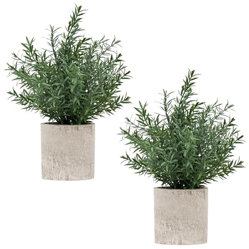 Coferset 2 Pack Small Fake Plants Rosemary Potted Artificial Plants for Shelf Desk Home Bathroom Farmhouse Room Coffee Table Decor (Green) - color: Green-small