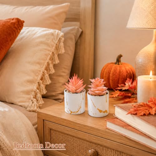 Der Rose Set of 2 Fall Artificial Succulent Plants, Mini Fake Succulents, Fall Decorations for Office Desk Bathroom Shelf Bedroom, Thanksgiving Decor - color: 2-orange
